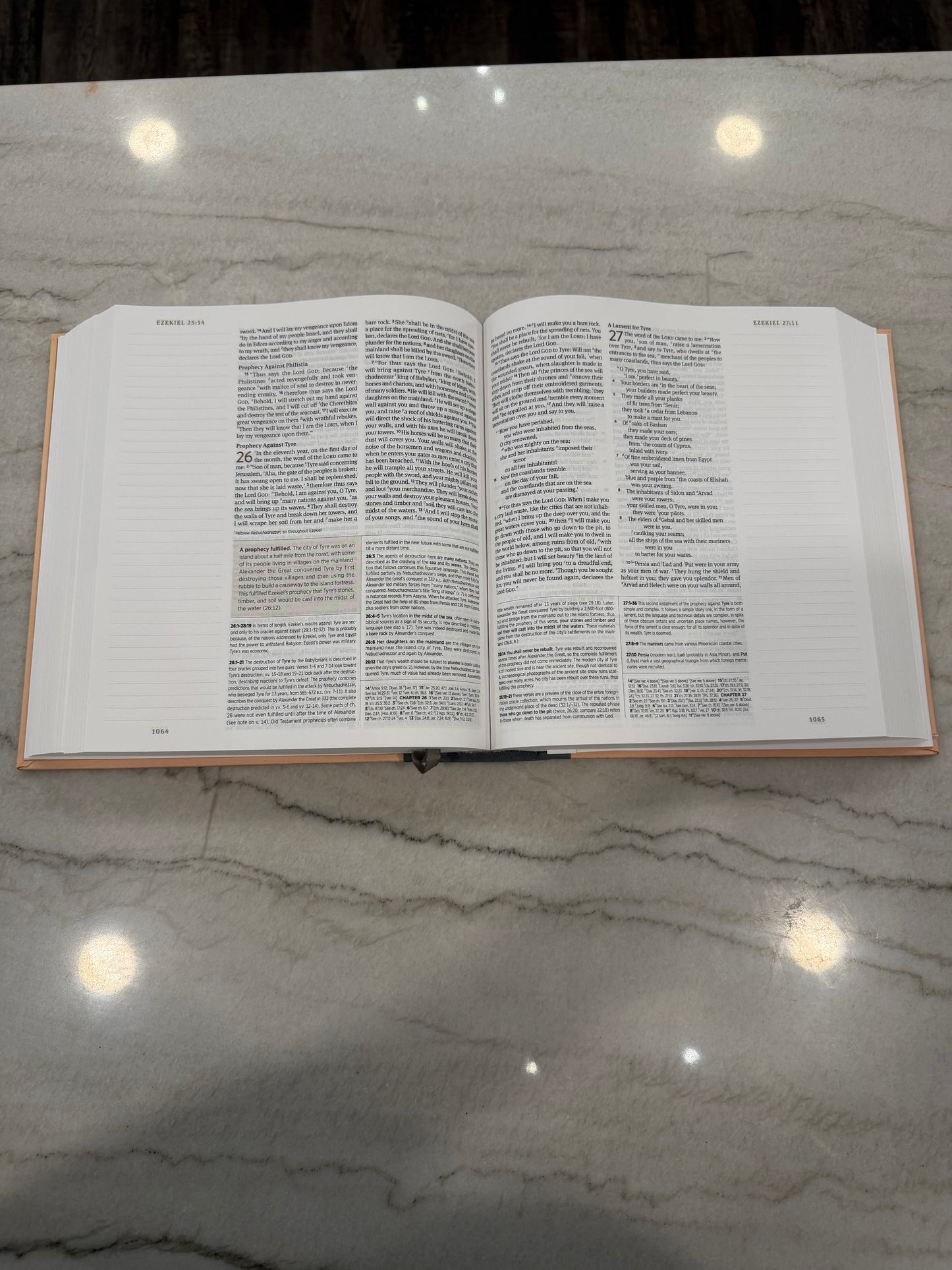Study & Journaling ESV Bible Blush