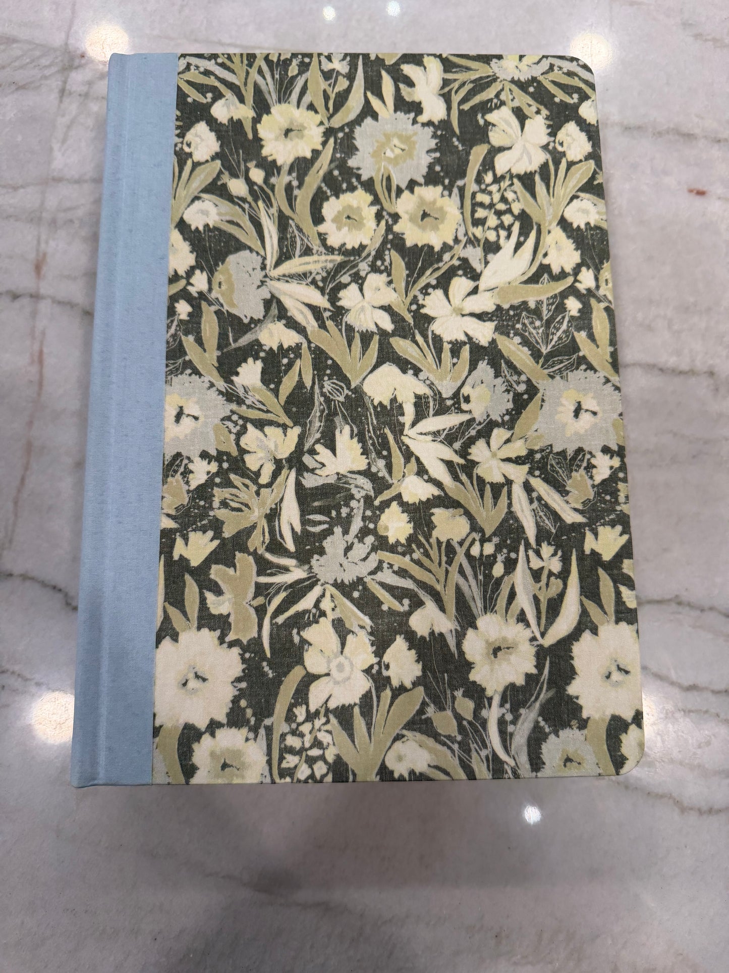 ESV Green & Blue Journaling Bible