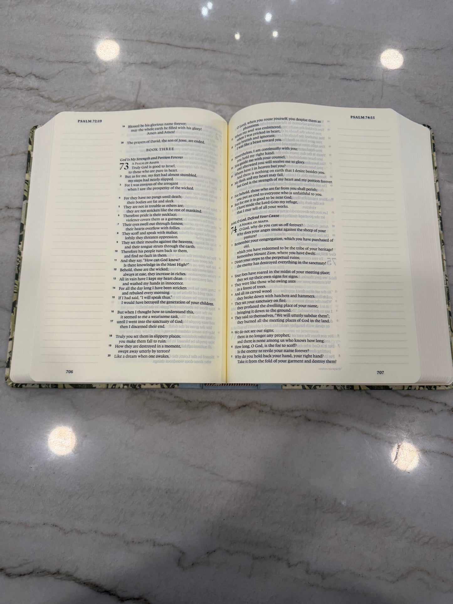 ESV Green & Blue Journaling Bible