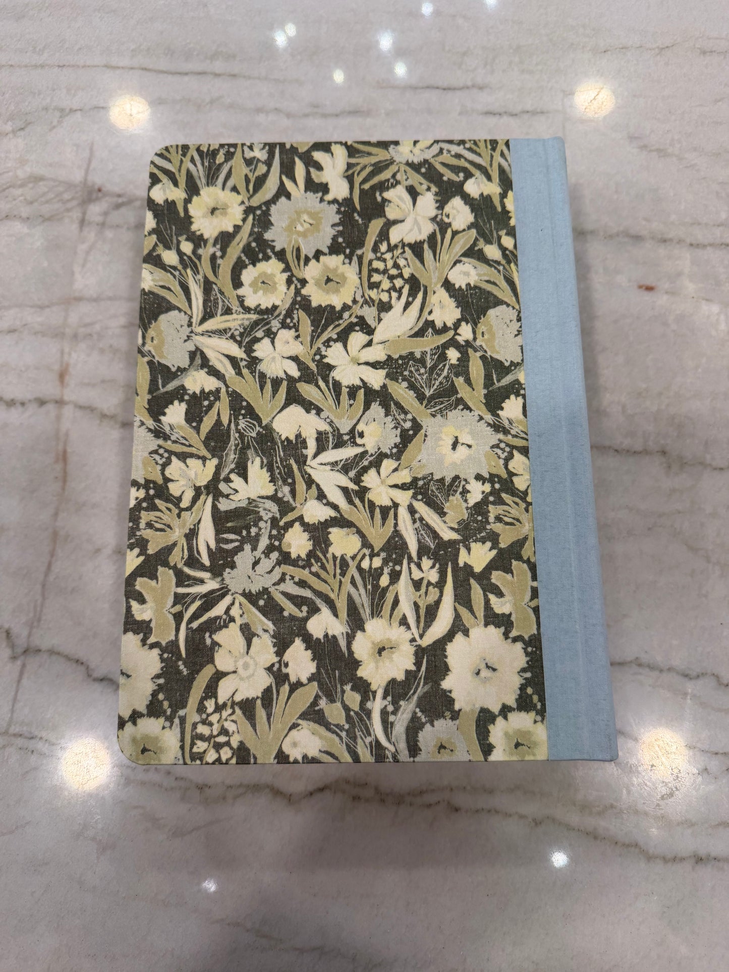 ESV Green & Blue Journaling Bible