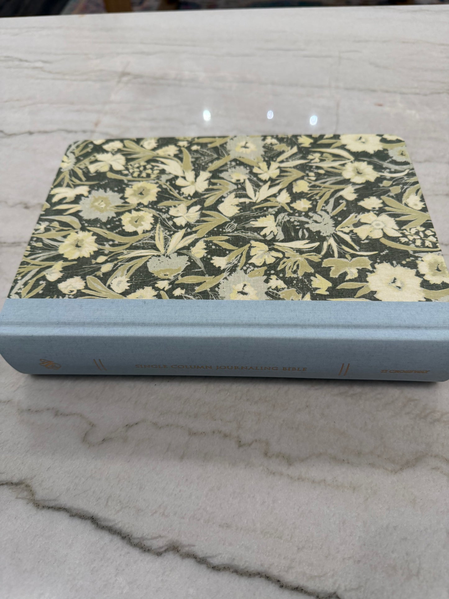 ESV Green & Blue Journaling Bible