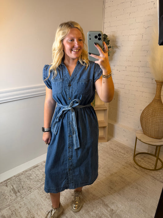 Darling In Denim Dress (117)
