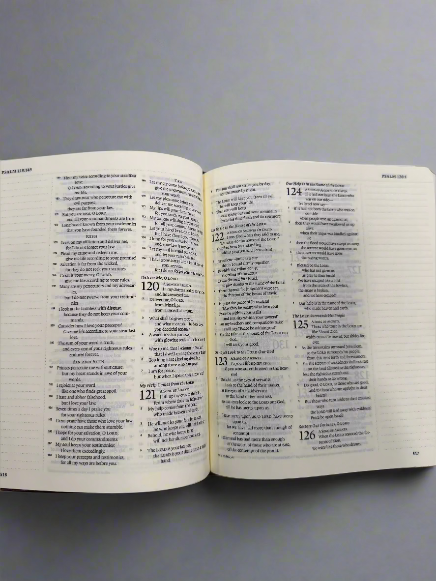 Hailey ESV Bible