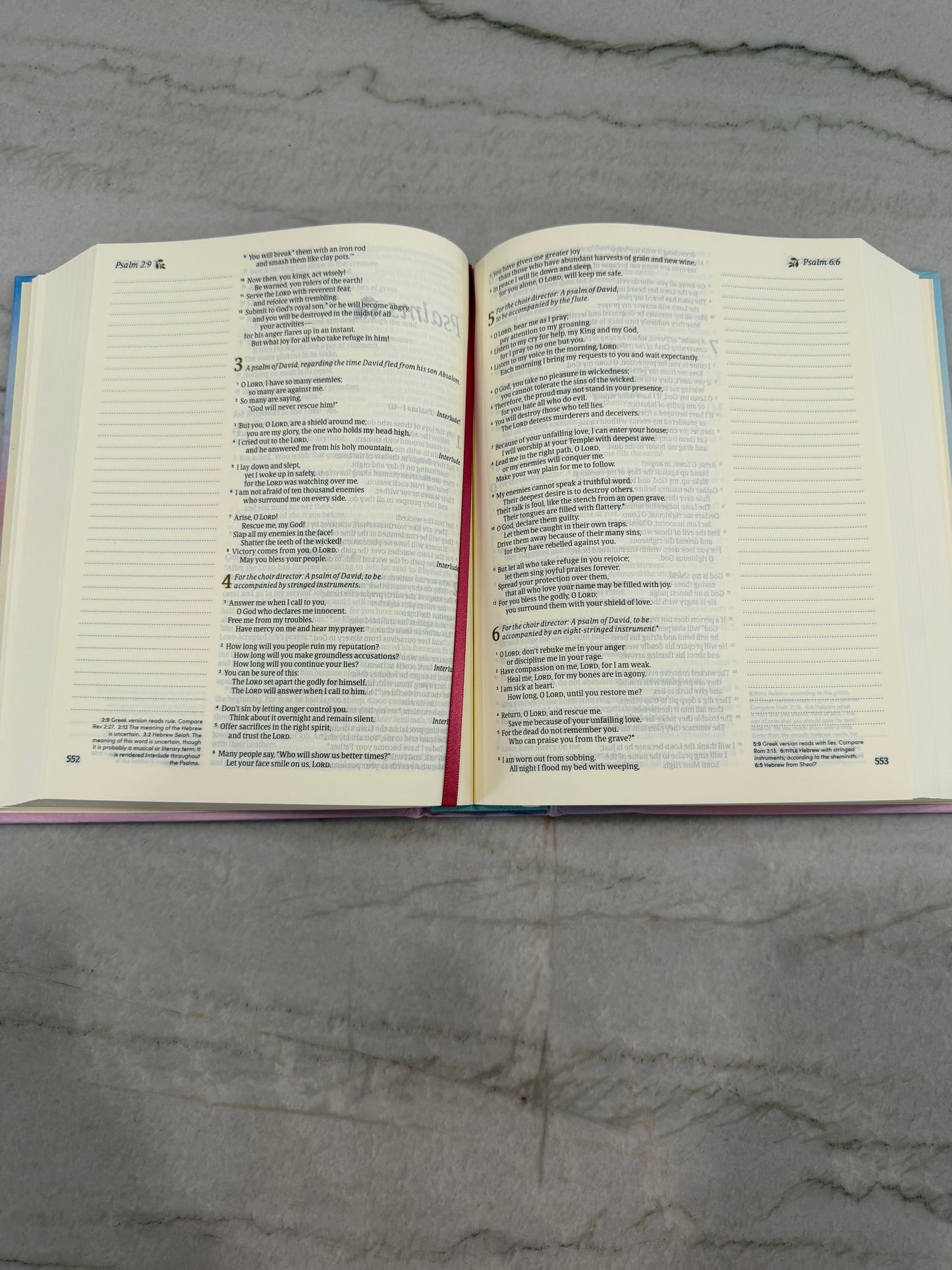 Molly NLT Bible